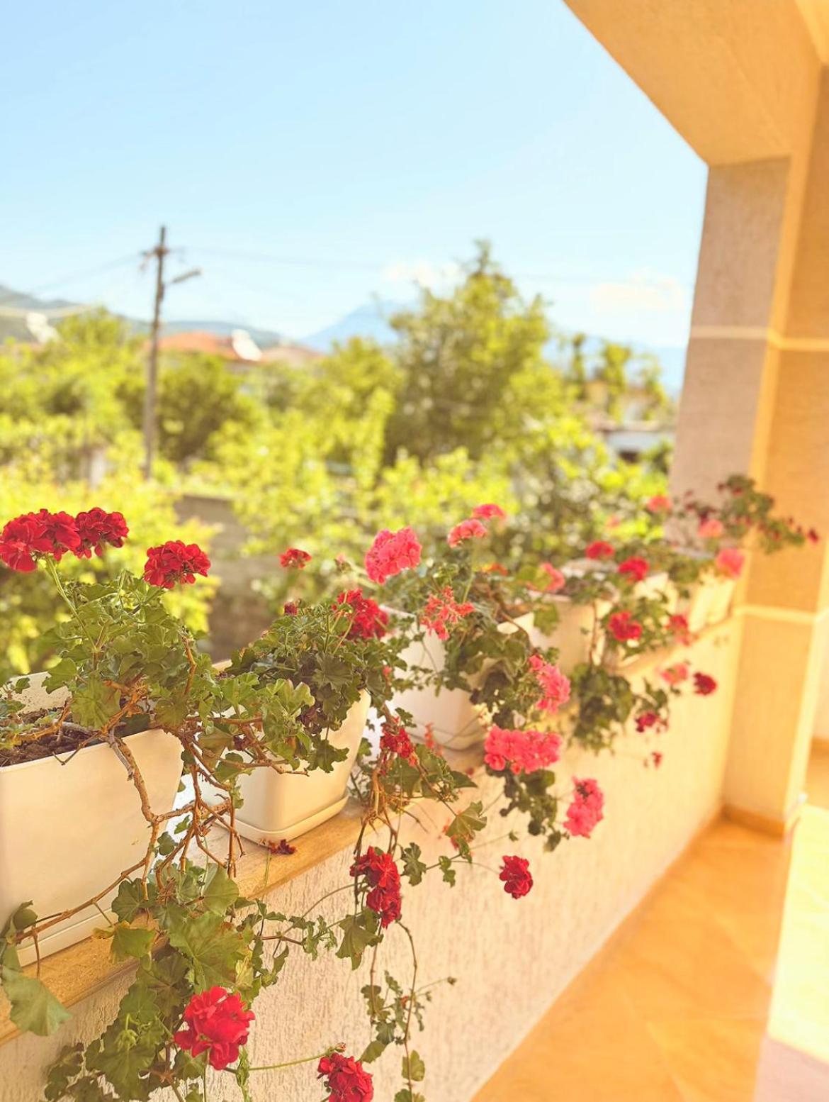Anel'S Guesthouse Μπεράτ Εξωτερικό φωτογραφία